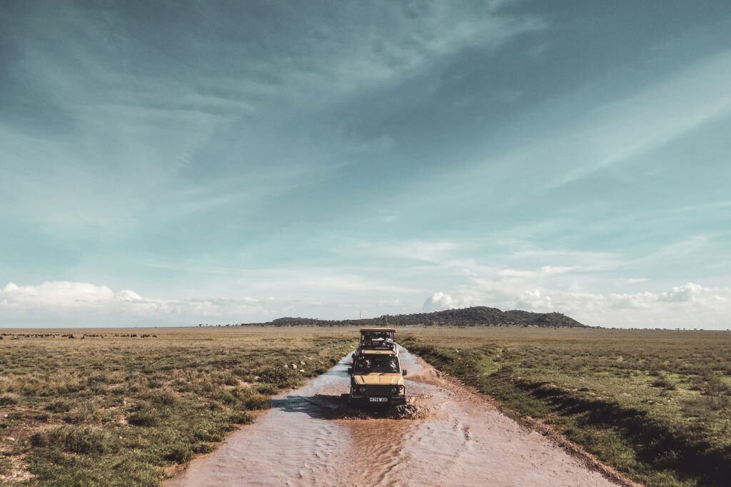 safari in Africa