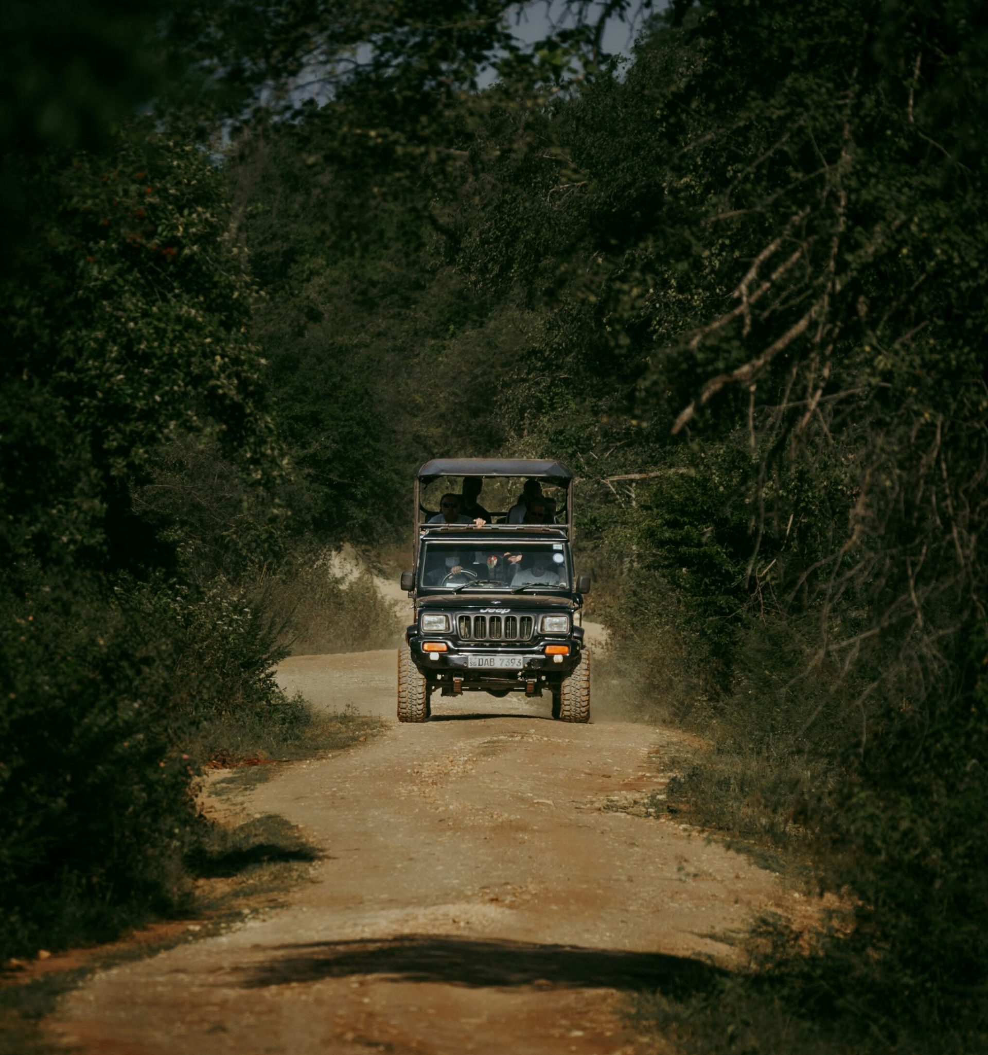 Safari in Africa